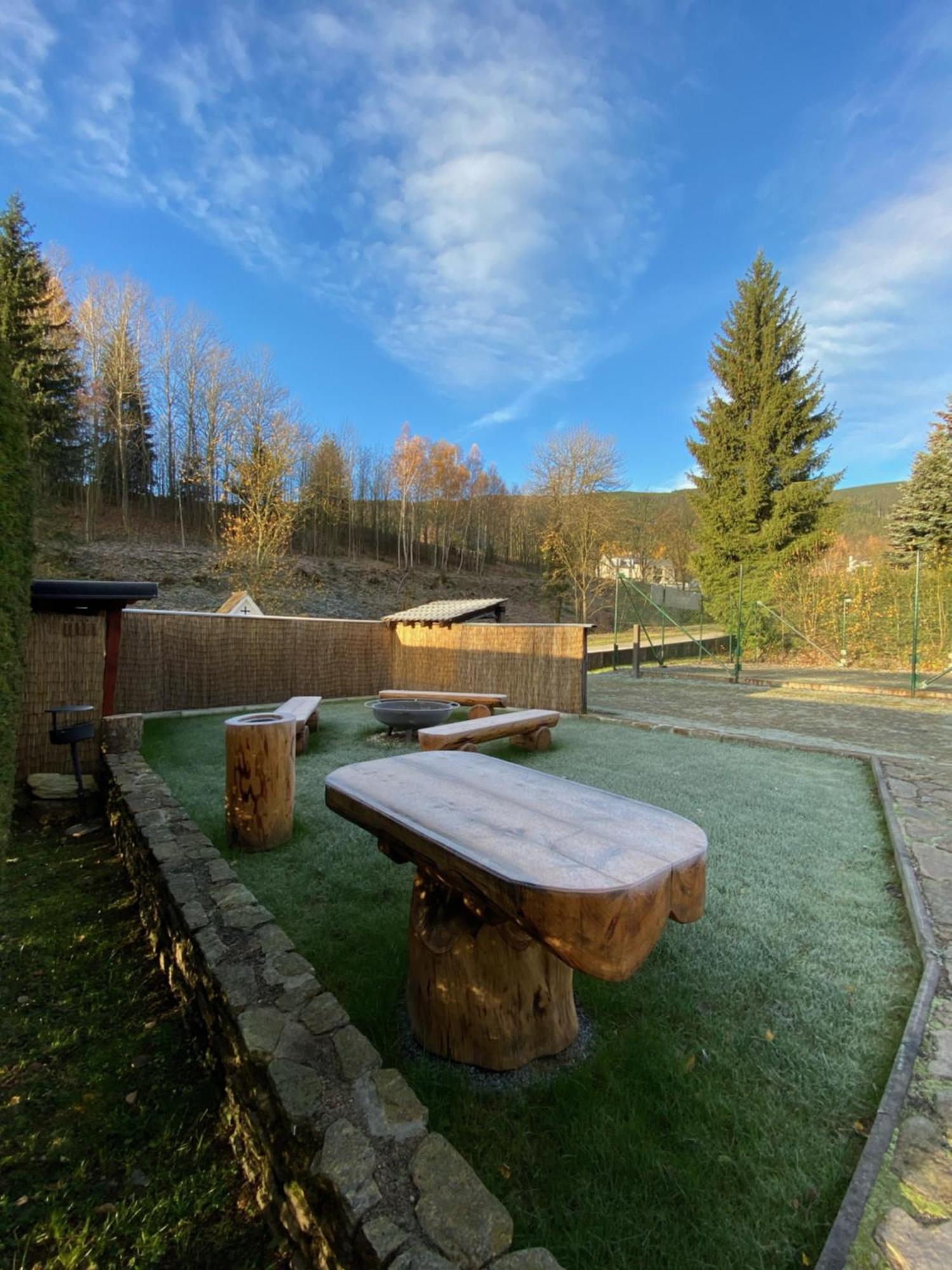 Horsky Hotel Snezenka Hynčice pod Sušinou Екстериор снимка